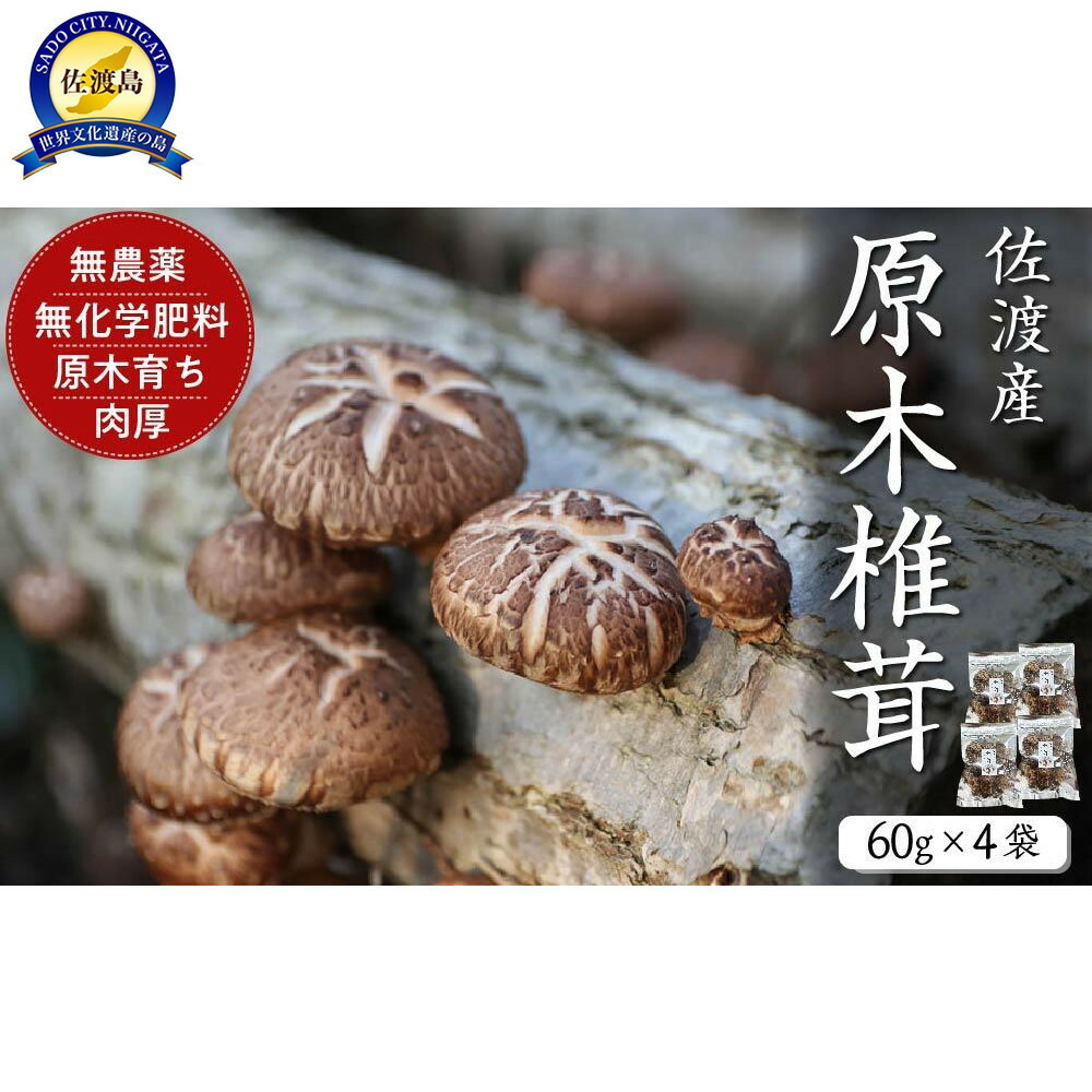 【ふるさと納税】佐渡発酵　佐渡産原木椎茸60g×4