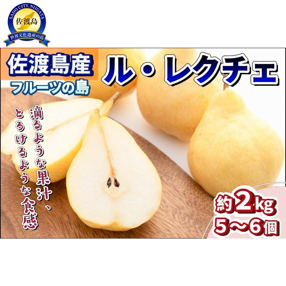 【ふるさと納税】先行予約 梨 ル・レクチエ 2kg ( 5～6個 ) 贈答用 | フルーツ 果物 くだもの 食品 人気 おすすめ 送料無料