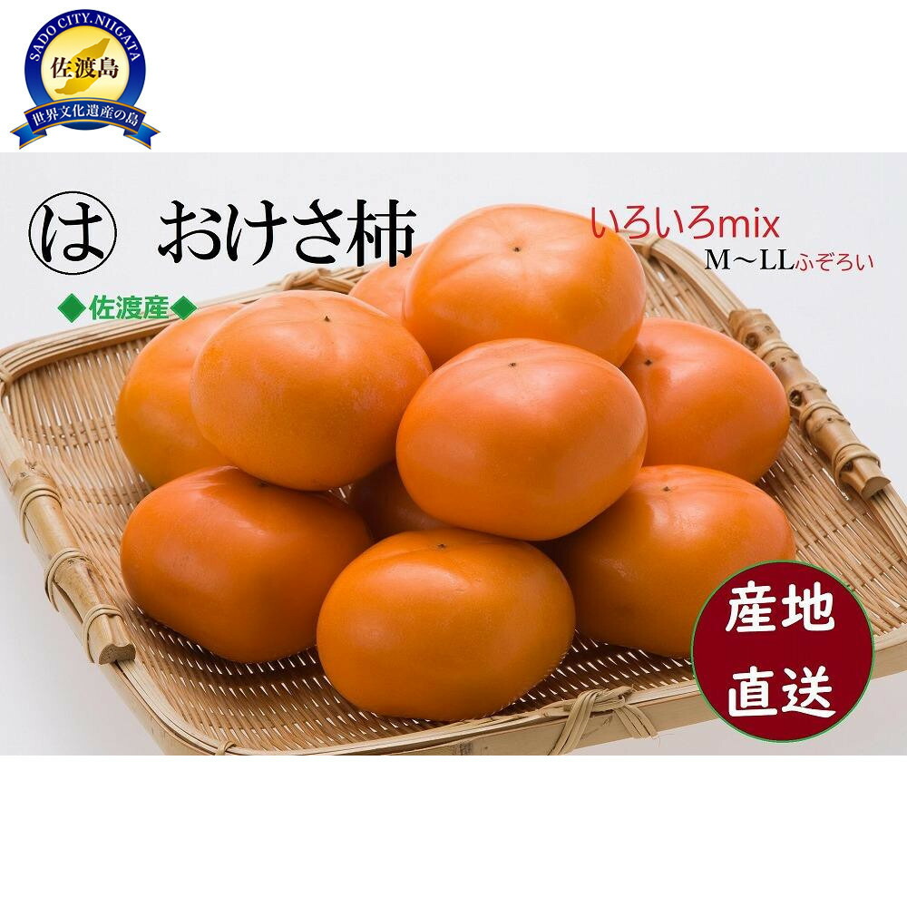【ふるさと納税】【先行予約】ふぞろいmixおけさ柿　約5kg（25～31個）（家庭用） | フルーツ 果物 くだもの 食品 人気 おすすめ 送料無料