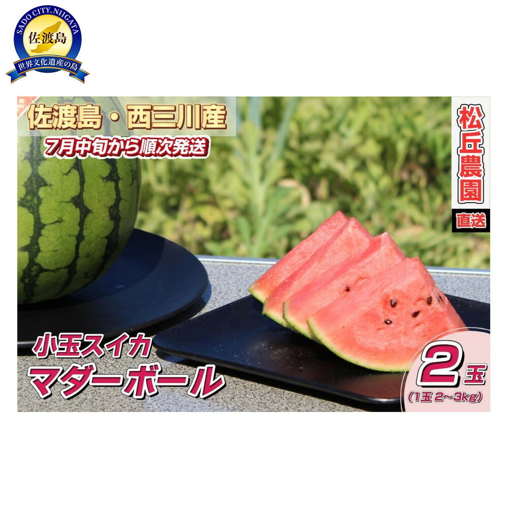 【ふるさと納税】【先行予約】佐渡西三川・松丘農園の名産品小玉スイカ「マダーボール」2個（1玉2～3kg） | フルーツ 果物 くだもの 野菜 食品 人気 おすすめ 送料無料