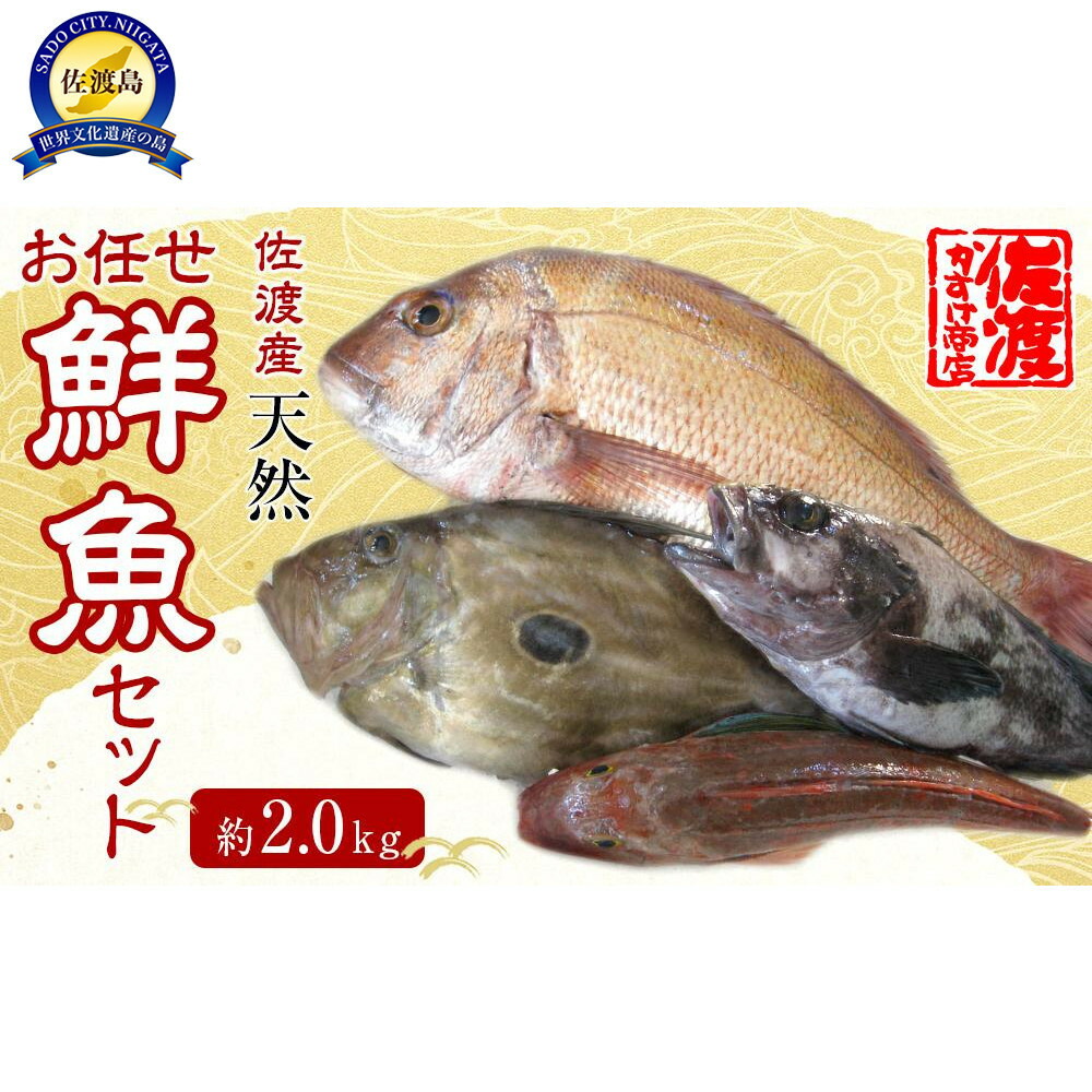 【ふるさと納税】佐渡産 天然お任せ鮮魚セット 2kg | 魚 お魚 さかな 食品 人気 おすすめ 送料無料