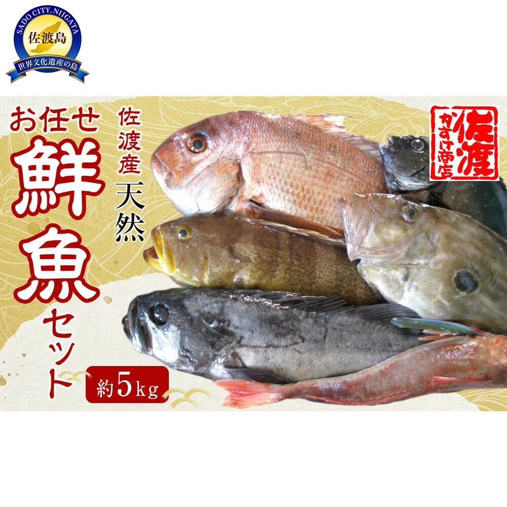 【ふるさと納税】佐渡産 天然お任せ鮮魚セット 5kg | 魚 お魚 さかな 食品 人気 おすすめ 送料無料