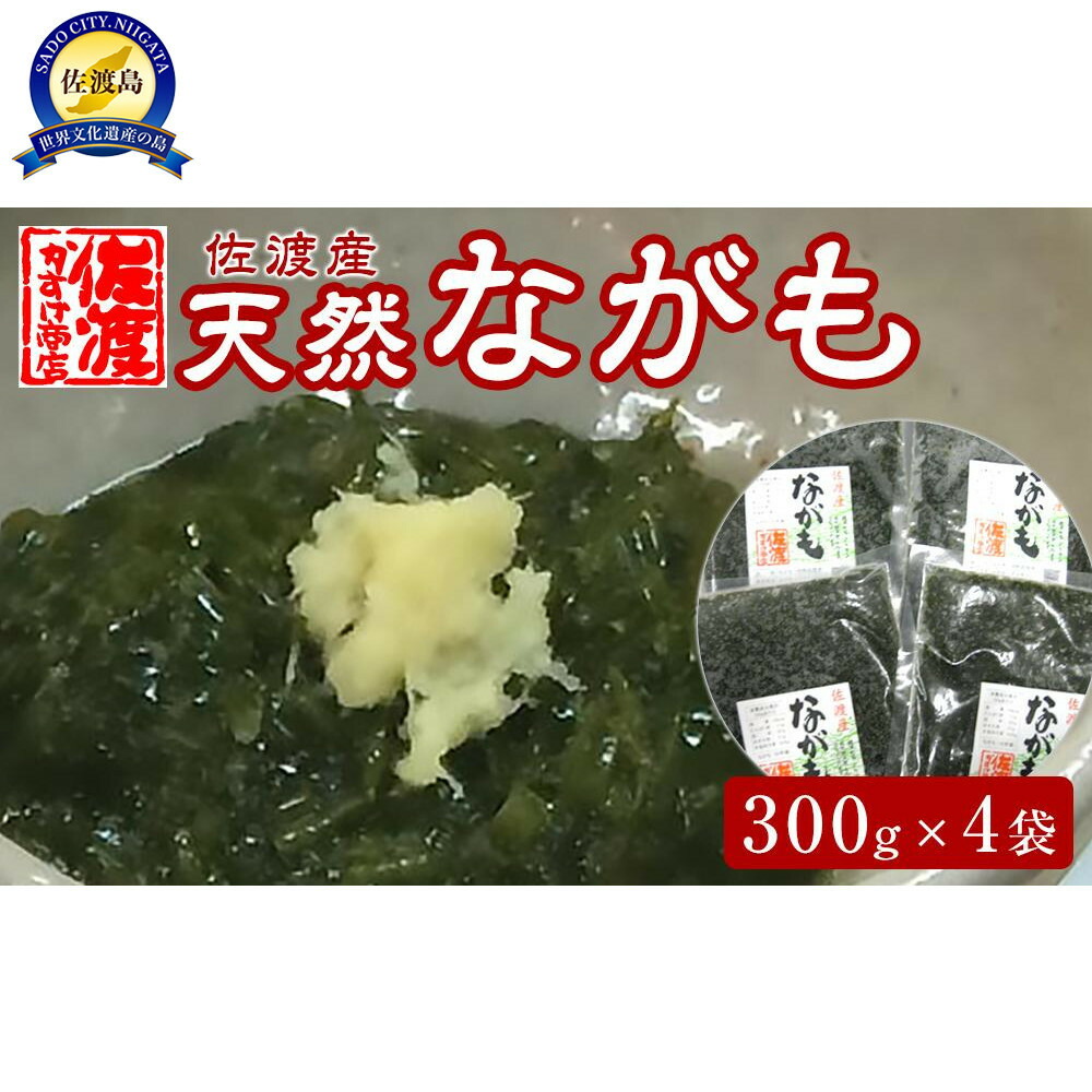 ゆあ 鹿児島県長島町産あおさ 鹿児島県長島町産 乾燥あおさ(200g)【礒永水産】iso-6042