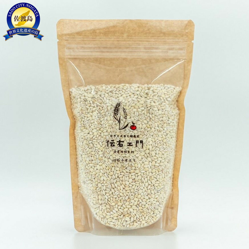 【ふるさと納税】β-グルカン はねうまもち　1kg（500ｇ×2） | 穀物 穀類 食品 人気 おすすめ 送料無料