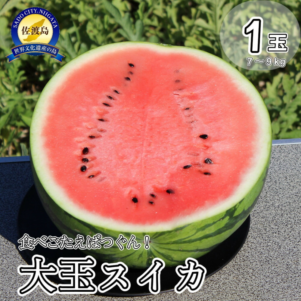 【ふるさと納税】【先行予約】佐渡西三川・松丘農園の名産品「大玉スイカ」1個（1玉7～9kg） | フルーツ 果物 くだもの 野菜 食品 人気 おすすめ 送料無料