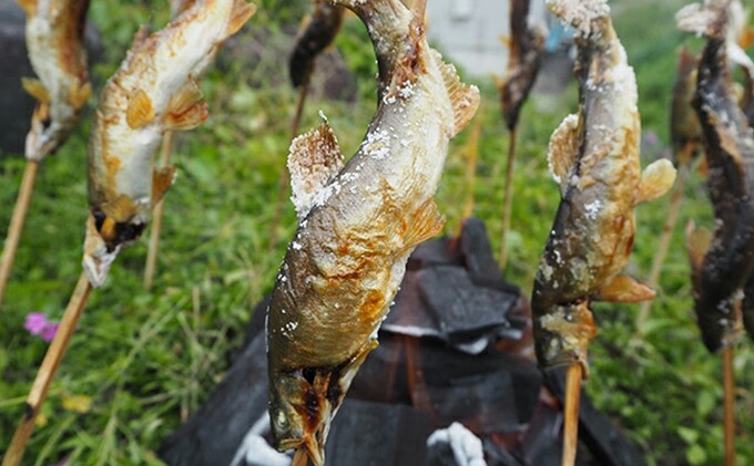 ふるさと納税 清流の川魚セット12尾入 イワナ ヤマメ