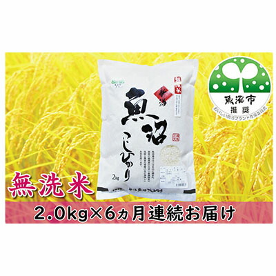 楽天市場 ふるさと納税 農家直送 魚沼産コシヒカリ 無洗米2kg 6ヶ月連続お届け 定期便 お米 コシヒカリ 米 無洗米 2kg 新潟県魚沼市 ふるさと納税