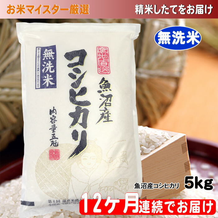 楽天市場 ふるさと納税 無洗米お米マイスター厳選魚沼コシヒカリ 5kg 12ヶ月連続お届け 定期便 お米 コシヒカリ 米 無洗米 定期 新潟県魚沼市 ふるさと納税