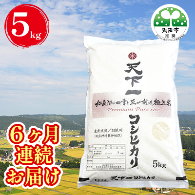 楽天市場 ふるさと納税 定期便 魚沼産 天下一コシヒカリ 5kg 全3回 定期便 お米 コシヒカリ 新潟県魚沼市 ふるさと納税