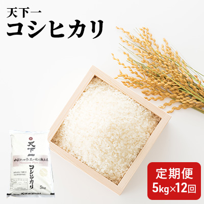 楽天市場 ふるさと納税 定期便 魚沼産 天下一コシヒカリ 5kg 全12回 定期便 お米 コシヒカリ 新潟県魚沼市 ふるさと納税