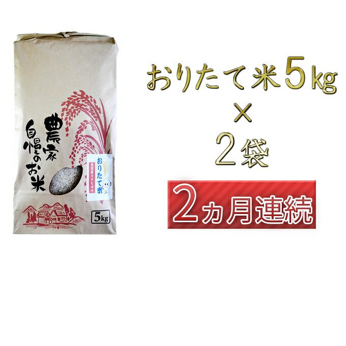 初回限定 楽天市場 ふるさと納税 魚沼産コシヒカリ おりたて米 白米kg 5kg 2を2ヶ月連続 定期便 コシヒカリ お米 お届け 10 1より順次発送 新潟県魚沼市 ふるさと納税 限定製作 Blog Belasartes Br