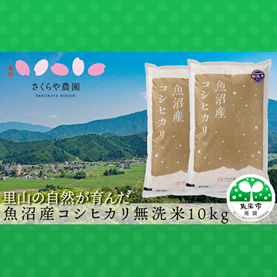 ふるさと納税 さくらや農園 魚沼産コシヒカリ 無洗米10kg 5kg 2袋 お米 コシヒカリ Psicologosancora Es