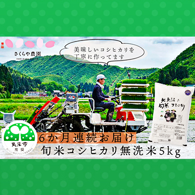 ふるさと納税 定期便 魚沼産コシヒカリ 北魚沼の旬米コシヒカリ 無洗米5kg 6ヶ月連続お届 定期便 お米 コシヒカリ Butlerchimneys Com