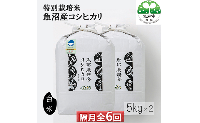 安いそれに目立つ ふるさと納税 定期便 魚沼産コシヒカリ 定期便 5kg 6回 隔月お届け 白米 Indonesiadevelopmentforum Com