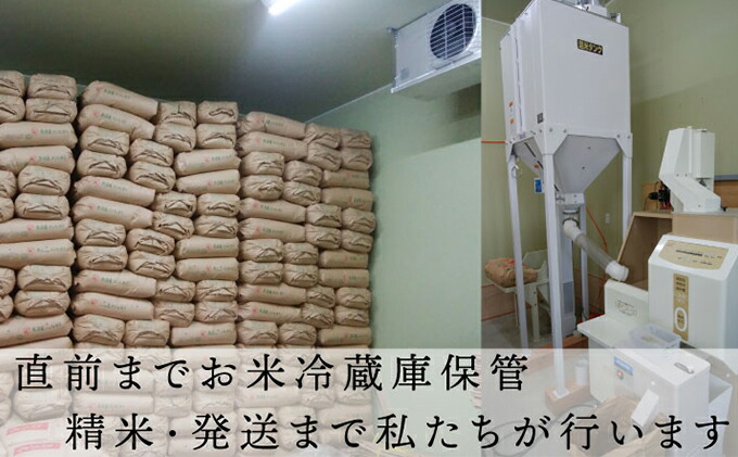 令和4年産 新米先行受付 お届け 北魚沼の旬米コシヒカリ2kg×2 新作送料無料 北魚沼の旬米コシヒカリ2kg×2