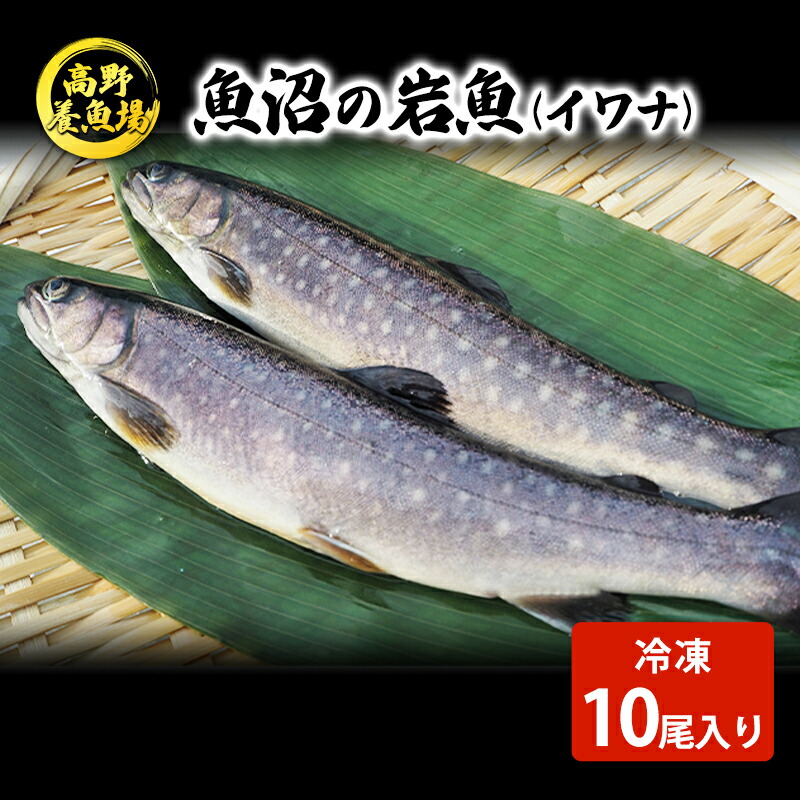 【楽天市場】【ふるさと納税】魚沼の岩魚(イワナ)冷凍10尾入り 魚貝類 川魚 お届け:寄附入金確認後、約2週間〜1ヶ月ほどでお届け:新潟県魚沼市 ふるさと納税