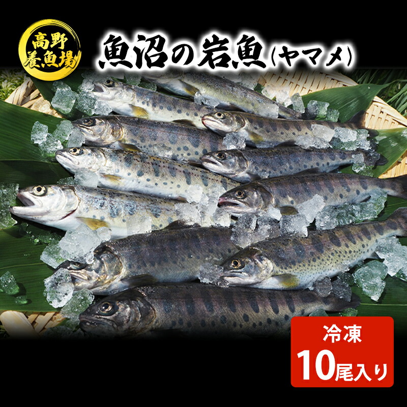 【ふるさと納税】魚沼の山女（ヤマメ）冷凍10尾入り 魚貝類 川魚 　お届け：寄附入金確認後、約2週間～1ヶ月ほどでお届けとなります