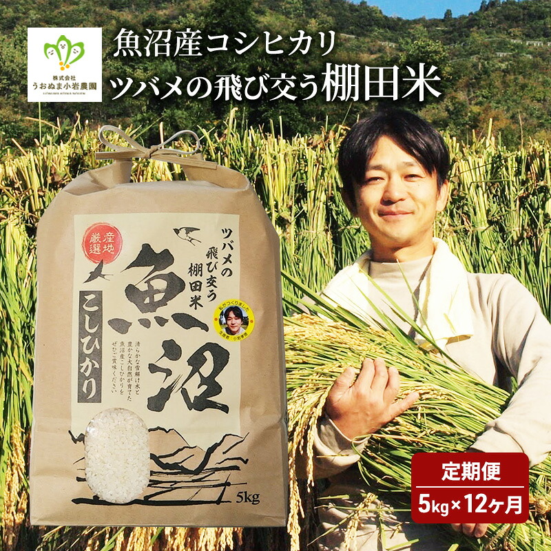 【ふるさと納税】米 定期便 12ヶ月 ツバメの飛び交う 棚田米 5kg コシヒカリ 精米 白米 お米 魚沼産コシヒカリ 新潟米 新潟 魚沼市 定期 12回 お届け:寄附入金確認後の翌月より発送|新潟県魚沼市 ふるさと納税