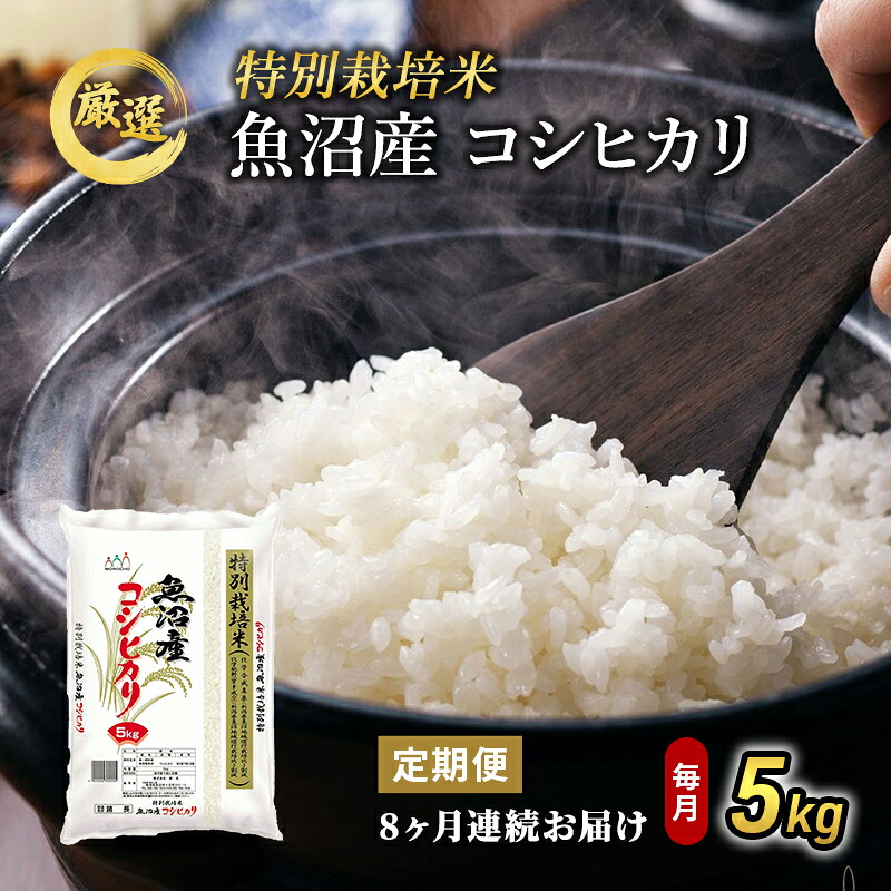 【ふるさと納税】特別栽培米 お米アドバイザー厳選 魚沼産 コシヒカリ 精米 5kg 8ヶ月 連続（ 米 定期便 こしひかり 特別栽培 魚沼 精米 お米 定期 新潟 魚沼産コシヒカリ 魚沼産こしひかり こめ お楽しみ 8回 ）　お届け：寄附入金確認後の翌月より発送｜新潟県魚沼市　ふるさと納税