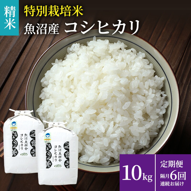 【ふるさと納税】米農家自慢の特別栽培米魚沼産コシヒカリ(精米)10kg(5kg×2袋) 隔月 全6回お届け お米 お届け:寄附入金確認後の翌月より発送|新潟県魚沼市 ふるさと納税