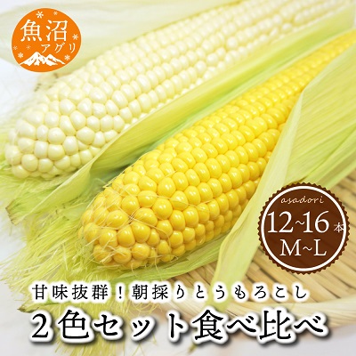 【ふるさと納税】魚沼産 朝採り とうもろこし 2色 食べ比べセット 12～16本 野菜 新潟県産 夏野菜 バーベキュー おやつ 　お届け：2025年7月下旬～9月中旬