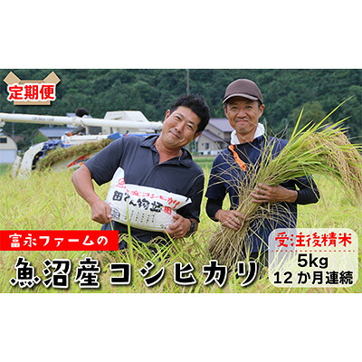 【ふるさと納税】農家の手【お米定期便/全12回】魚沼産コシヒカリ(精米)5kg 白米 ご飯 ブランド米 銘柄米 精米したて 新潟県産 直送 主食 炭水化物 複数回 1年 お届け お届け:寄附入金確認後の翌月より発送|新潟県魚沼市 ふるさと納税