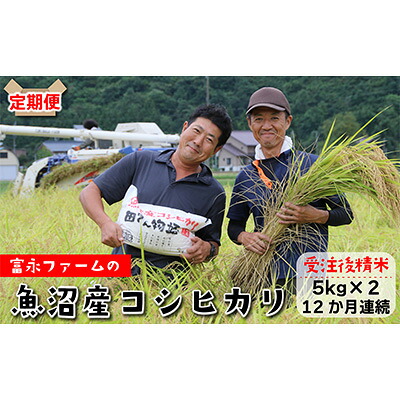 【ふるさと納税】農家の手【お米定期便/全12回】魚沼産コシヒカリ（精米）10kg（5kg&times;2） 白米 ご飯 ブランド米 銘柄米 精米したて 新潟県産 直送 主食 炭水化物 複数回 1年 お届け 　お届け：寄附入金確認後の翌月より発送｜新潟県魚沼市　ふるさと納税