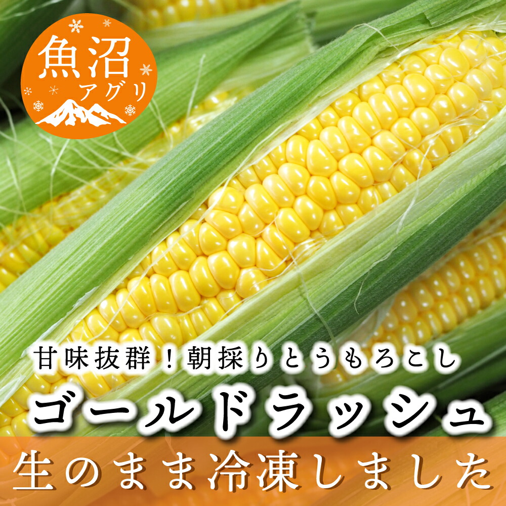 【ふるさと納税】魚沼産 冷凍生とうもろこしと冷凍粒とうもろこしのセット 野菜 国産 日本産 簡単 便利 コーン 冷凍コーン ゴールドラッシュ 新潟県産 食材 食べ物 直送 産地直送 　お届け：寄附入金確認後、随時発送