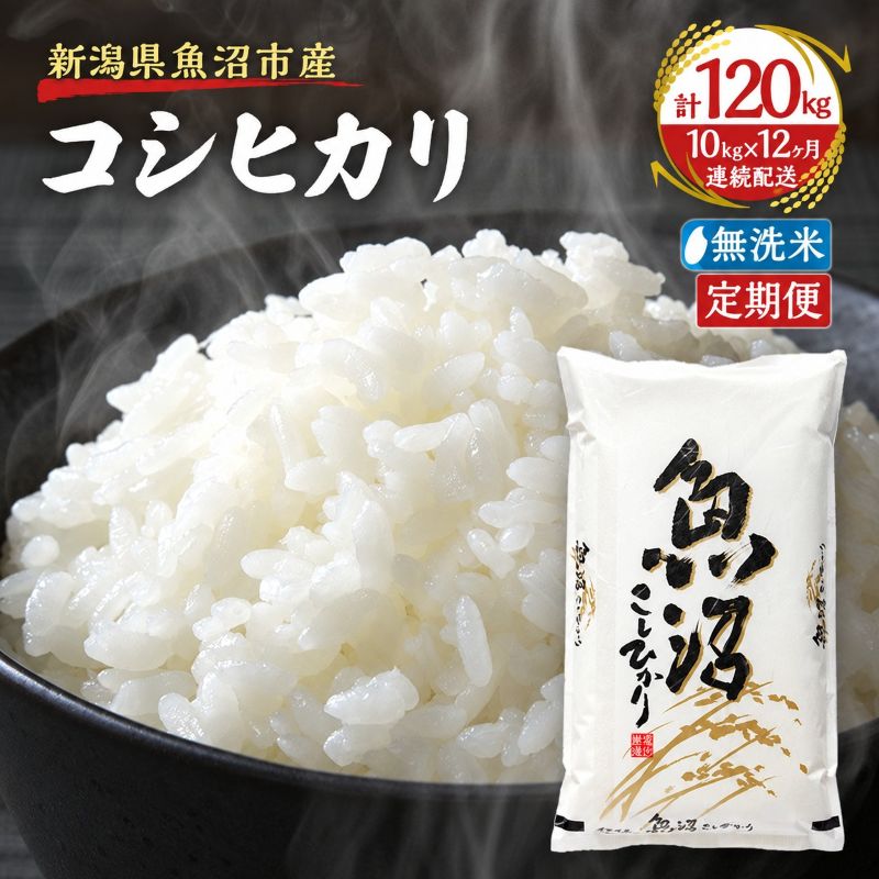 【ふるさと納税】【定期便：雪国逸品 無洗米10kg×12ヶ月】越後魚沼郷 魚沼産コシヒカリ　お届け：寄附入金月の翌月より発送