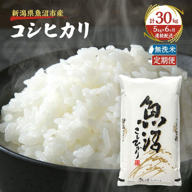 【ふるさと納税】【定期便:雪国逸品 無洗米5kg×6ヶ月】越後魚沼郷 魚沼産コシヒカリ お届け:寄附入金確認後の翌月より発送|新潟県魚沼市 ふるさと納税