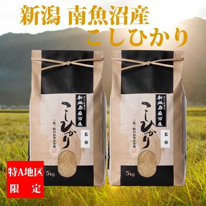 今季ブランド 南魚沼産コシヒカリ 玄米5kg×2袋 budbucks.ca