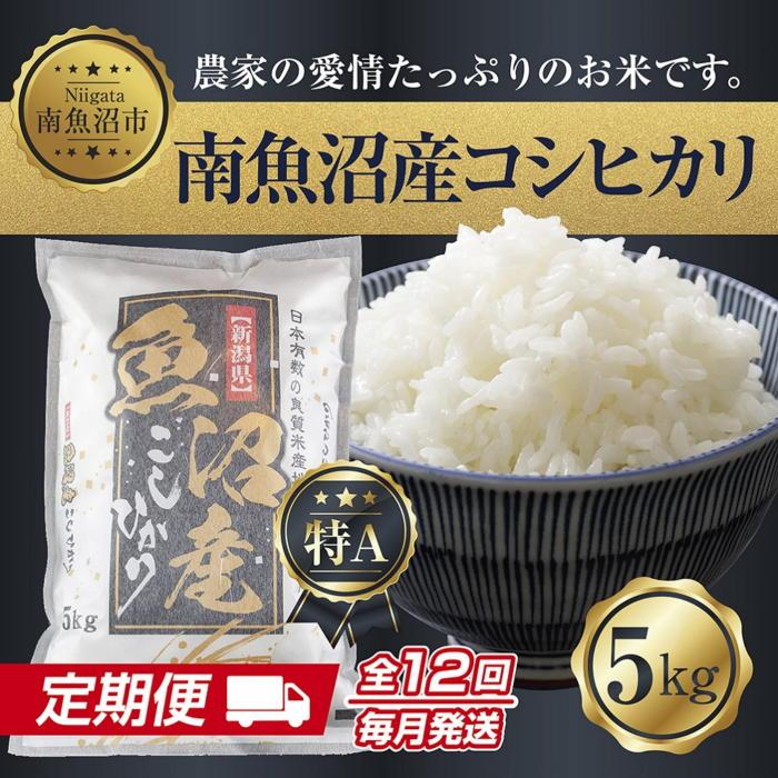 【ふるさと納税】【令和7年産新米】【定期便】新潟県 南魚沼産 コシヒカリ お米 5kg×計12回 精米済み 年間 毎月発送 （お米の美味しい炊き方ガイド付き）【2025年10月中旬より順次発送予定】 | お米 こめ 白米 コシヒカリ 食品 人気 おすすめ 送料無料 魚沼 南魚沼