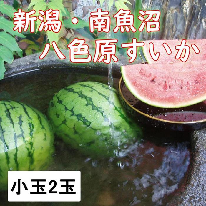 【ふるさと納税】【新潟県 南魚沼産】八色原スイカ小玉２玉 | フルーツ 果物 くだもの 食品 人気 おすすめ 送料無料