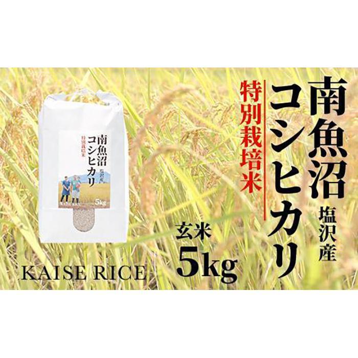 令和４年度産 南魚沼産塩沢コシヒカリ 特別栽培米８割減農薬 玄米５ｋｇ ギフ_包装