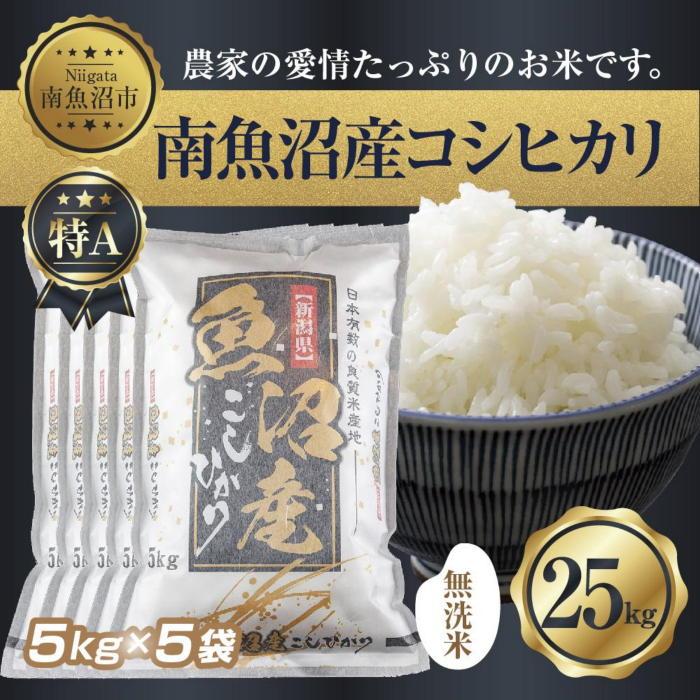 【白米10kg】農家直送！美味しいお米！埼玉県産コシヒカリ！