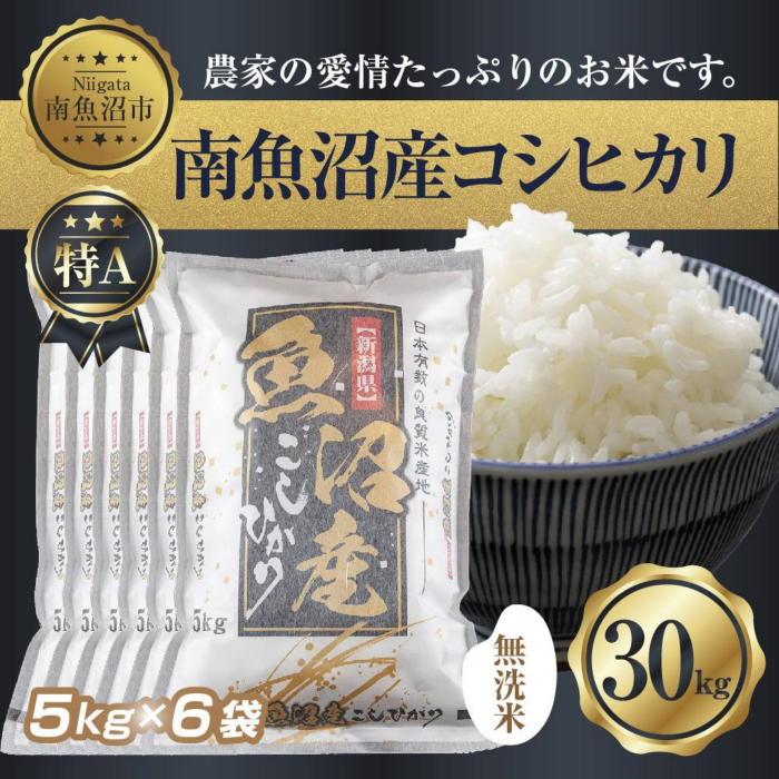 超美品 ふるさと納税 南魚沼市 2023年6月発送開始 定期便 南魚沼産