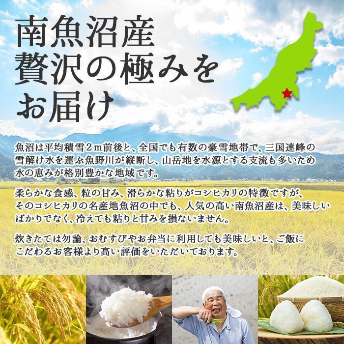 正規品質保証】 新潟県 南 魚沼産 コシヒカリ お米 2kg ×3袋 計6kg お米の美味しい炊き方ガイド付き fucoa.cl