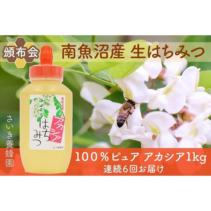 【ふるさと納税】【定期便】さいき養蜂園　非加熱蜂蜜　アカシア１kg×１本　【6か月連続お届け】