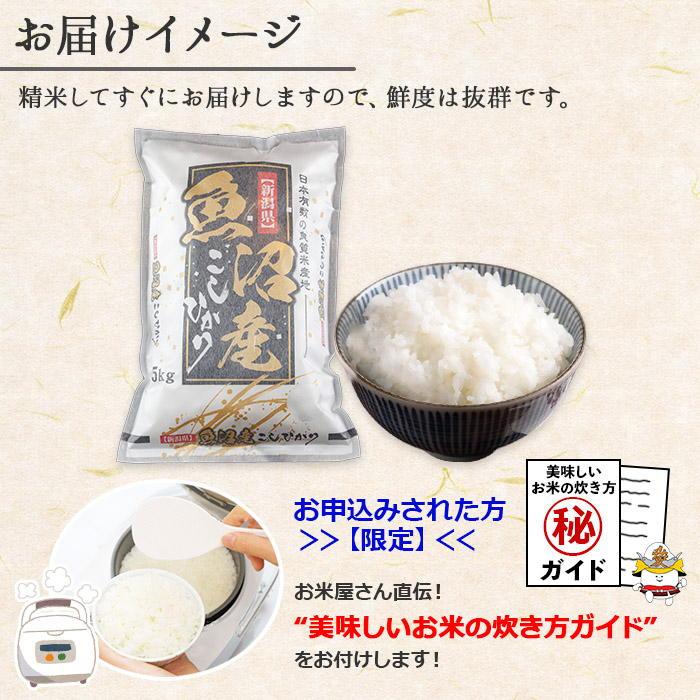 休み コシヒカリ 無地のし 南 お米の美味しい炊き方ガイド付き 令和４年産 計 魚沼産 10kg 5kg × 2袋 米・雑穀