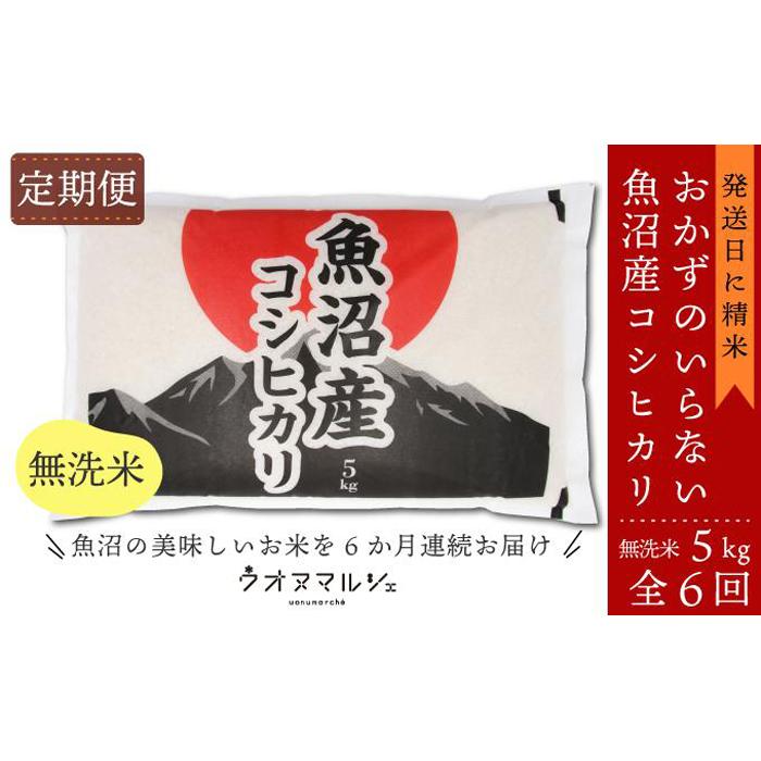 【ふるさと納税】【令和7年産】【お米定期便/全6回】おかずのいらない 魚沼産コシヒカリ 無洗米5kg【定期便 銘柄米 ブランド米 無洗米 こしひかり コシヒカリ 魚沼産 新潟米 産地直送 お米 米 こめ コメ ご飯 御飯 ごはん】|新潟県南魚沼市
