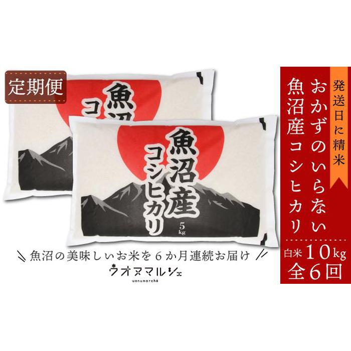 【ふるさと納税】【令和7年産】【お米定期便/全6回】 おかずのいらない 魚沼産コシヒカリ 白米10kg【定期便 銘柄米 ブランド米 精米 こしひかり コシヒカリ 魚沼産 新潟米 産地直送 お米 米 こめ コメ ご飯 御飯 ごはん】|新潟県南魚沼市