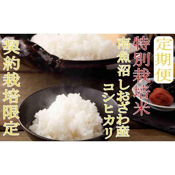 和綴 手書き篳篥譜原本 稀少・伶家口傳の書