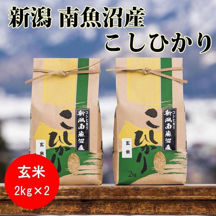 最終決算 ふるさと納税 南魚沼市 2023年6月発送開始 定期便 南魚沼し