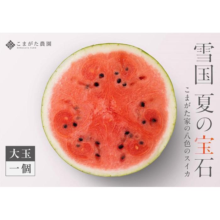 【ふるさと納税】【2025年7月中旬発送予定】高級南魚沼八色産スイカ「こまがた家の八色のスイカ」プレミアム大玉 1玉 | フルーツ 果物 くだもの 食品 人気 おすすめ 送料無料 数量限定