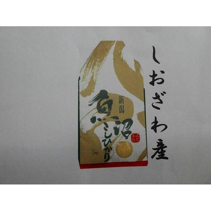 【ふるさと納税】【定期便　令和7年産新米予約】南魚沼産（しおざわ）こしひかり8割減農薬米精米５Kg×6回【2025年9月中旬より順次発送予定】 | お米 こめ 白米 コシヒカリ 食品 人気 おすすめ 送料無料 魚沼 南魚沼 南魚沼市 新潟県産 新潟県 精米 産直