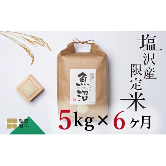 【ふるさと納税】【定期便令和7年産】南魚沼コシヒカリ５kg&times;全6回　旧塩沢地区限定米【定期便 銘柄米 ブランド米 精米 こしひかり コシヒカリ 魚沼産 新潟米 産地直送 お米 米 こめ コメ ご飯 御飯 ごはん】｜新潟県南魚沼市