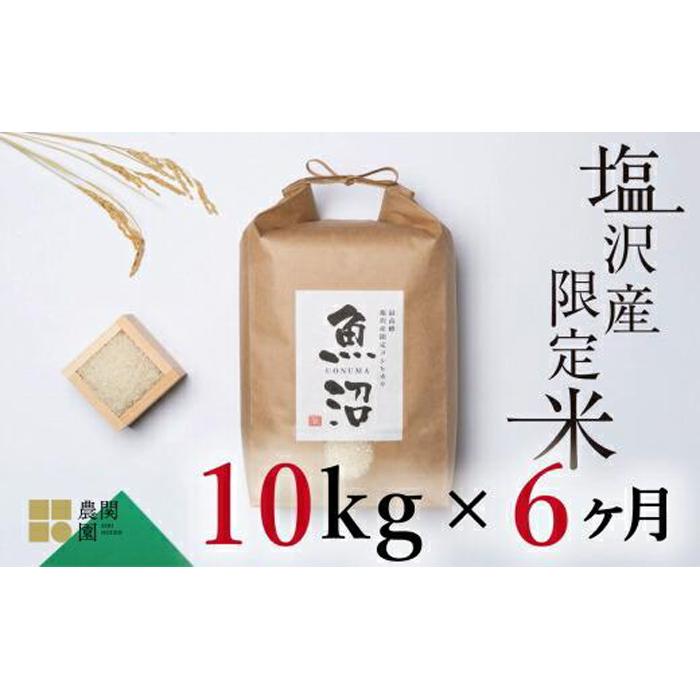 【ふるさと納税】【定期便令和7年産】南魚沼コシヒカリ10kg×全6回 旧塩沢地区限定米【定期便 銘柄米 ブランド米 精米 こしひかり コシヒカリ 魚沼産 新潟米 産地直送 お米 米 こめ コメ ご飯 御飯 ごはん】|新潟県南魚沼市