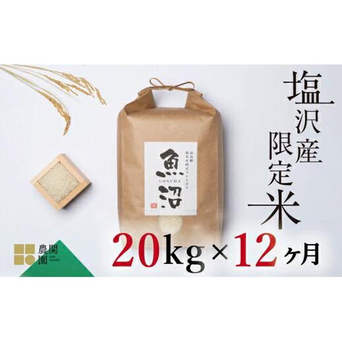 南魚沼コシヒカリ20kg×全12回　旧塩沢地区限定米 送料無料 魚沼産 コシヒカリ 魚沼 新潟 こしひかり 新潟県産 白米 精米 米 お米 産直 産地直送 お取り寄せ お楽しみ