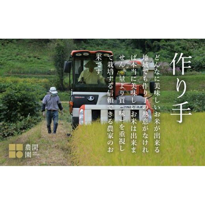 南魚沼コシヒカリ20kg×全12回　旧塩沢地区限定米 送料無料 魚沼産 コシヒカリ 魚沼 新潟 こしひかり 新潟県産 白米 精米 米 お米 産直 産地直送 お取り寄せ お楽しみ