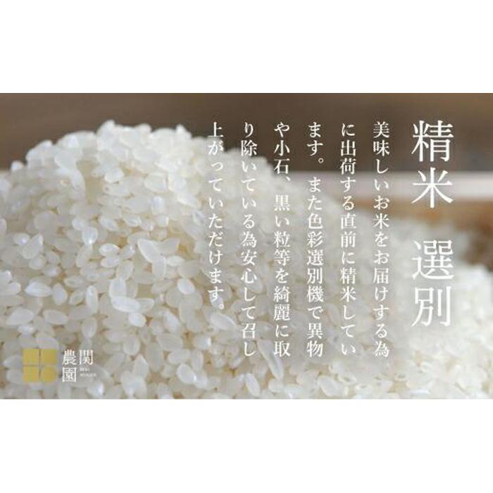 南魚沼コシヒカリ20kg×全12回　旧塩沢地区限定米 送料無料 魚沼産 コシヒカリ 魚沼 新潟 こしひかり 新潟県産 白米 精米 米 お米 産直 産地直送 お取り寄せ お楽しみ